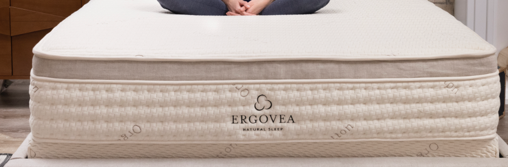 Ergovea Ventura 10
