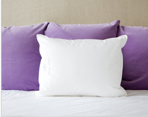 The Pillow Bar Down Side Sleeper Pillow Firm Standard