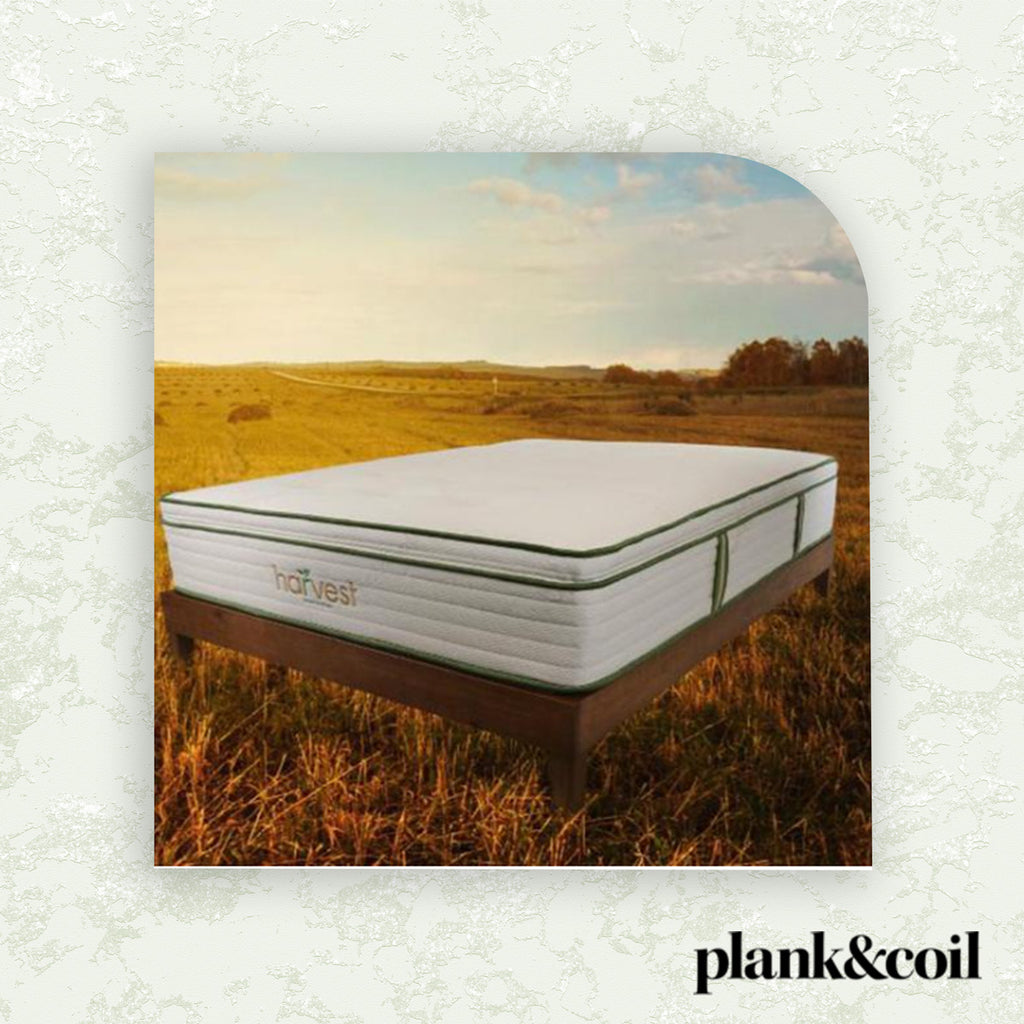 Harvest Green Pillow Top Vegan Mattress