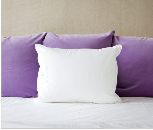 The Pillow Bar Down Side Sleeper Pillow Soft Standard