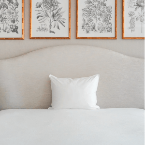 The Pillow Bar Down Pillow