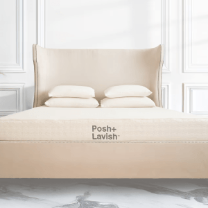 Posh+Lavish Captivate Mattress